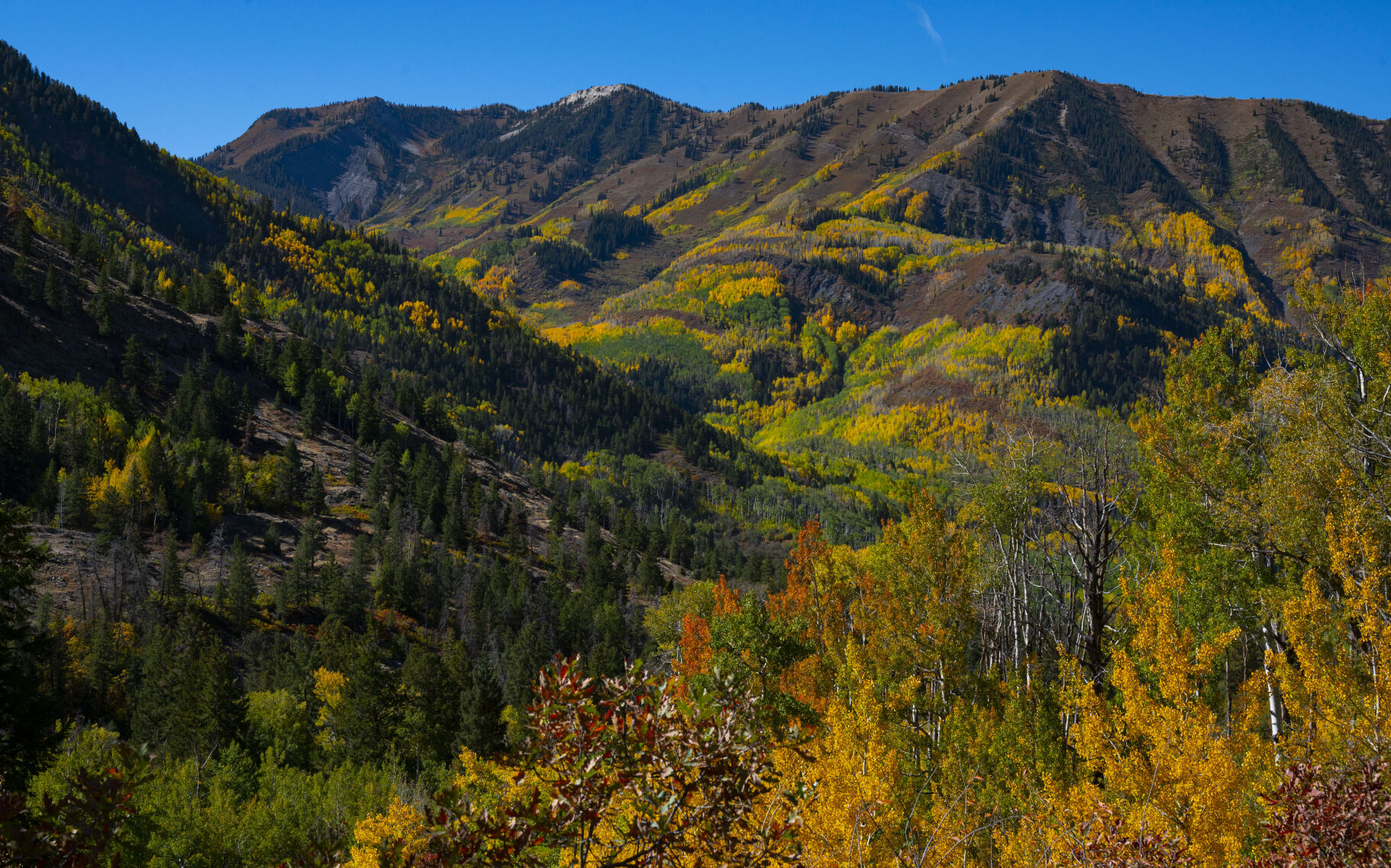 09_29_20 aspens0184.jpg